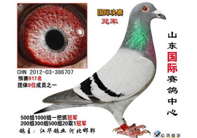 ɽ�������������ľ����񽱸�����(ͼ)