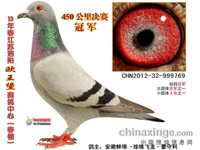 ����ŷ������������񽱸�����(ͼ)