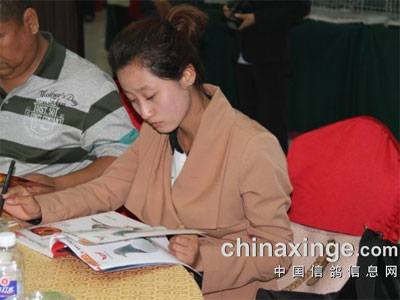 �����������񽱸������Ứ��(ͼ)