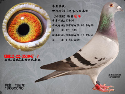 �ɶ�����������ʤ�����������վ���