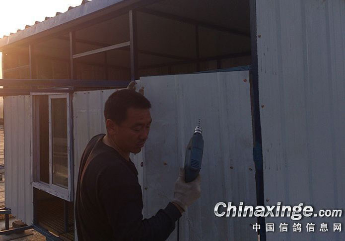 ��è���ǣ�¥��������(ͼ)