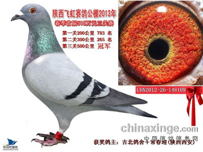 �����ɺ繫�ﴺ�������񽱸�(ͼ)