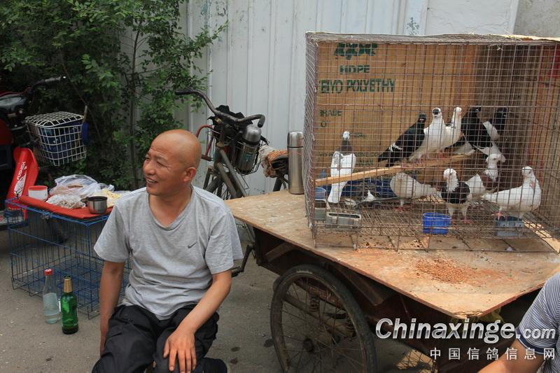 ���������������(ͼ)