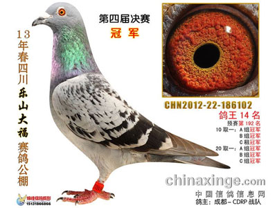 �Ĵ���ɽ�󸣹�������񽱸�����(ͼ)