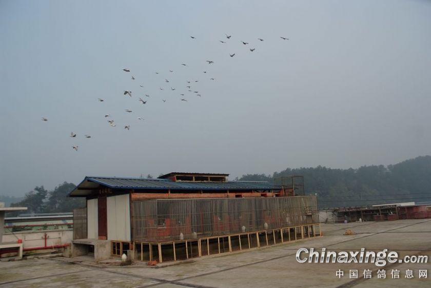 ����ϵ������������������Ƹ���(ͼ)