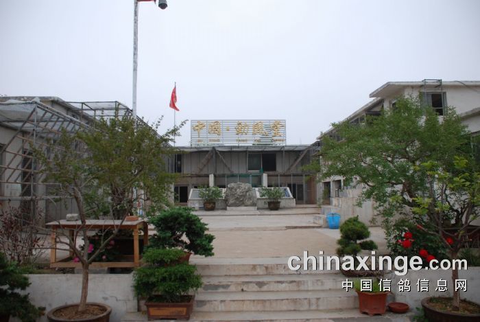 ר���й������ø���(ͼ)