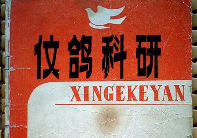 ɹɹ���ղص�����(ͼ)