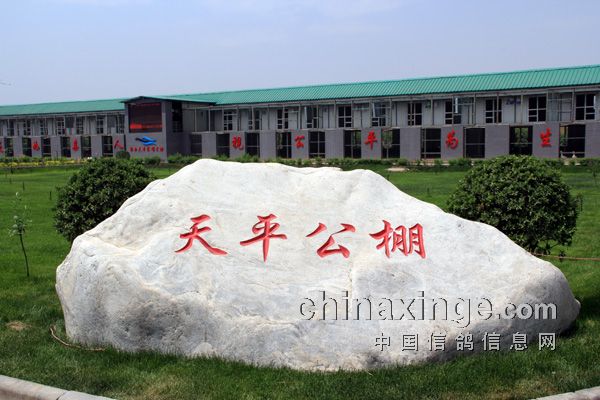 6��2�������������һ������(ͼ)