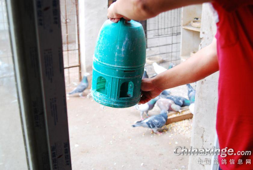 ƽ������еġ����ҡ�(ͼ)