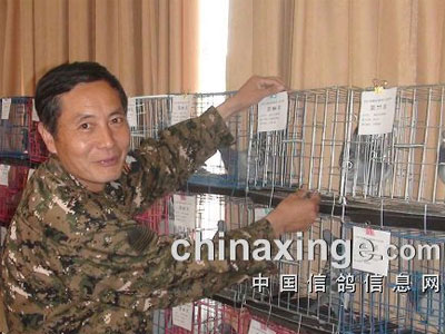 �������������������(ͼ)