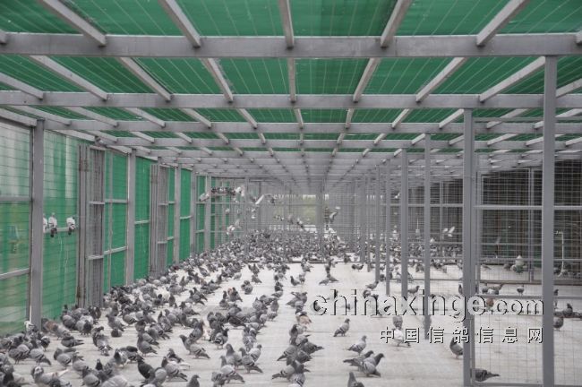 ͨ���ֵܹ����ո�8681����ǰ����