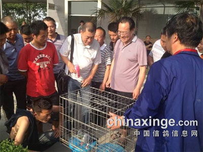 ������ƽ����������չ�7��(ͼ)