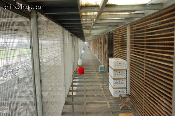 ̽���������빫��