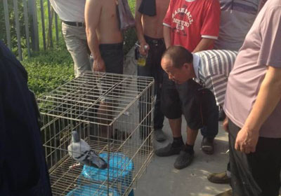 ����ǰʮ��������Ҫ��ʾ��(ͼ)