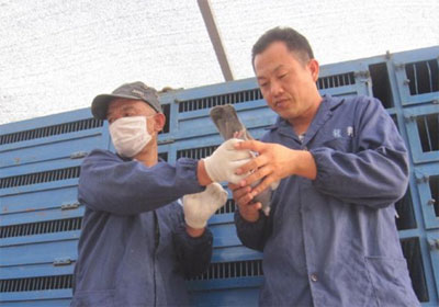 ����˳���蹫��Ԥ��100������(ͼ)