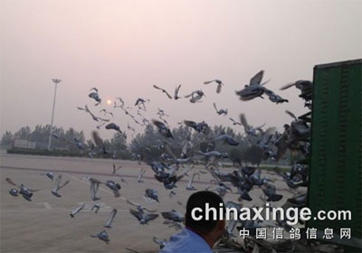 ��ɽ���ɭ�����������(ͼ)