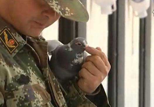 ¤���顪����������(��Ƶ)