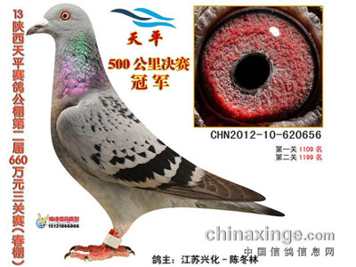 ������ƽ��������񽱸�����(ͼ)