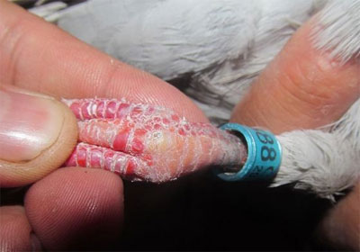 �����ϸ����»� �����˻�����(ͼ)