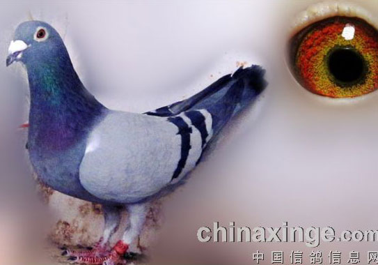 ����ȥ�ġ������á�(ͼ)