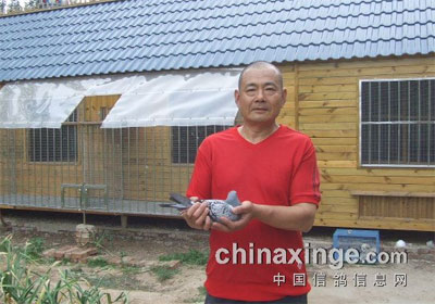 ������˴����ֲ�500��������(ͼ)