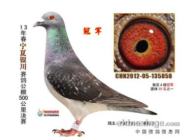 �����������빫�����ǰʮ��(ͼ)