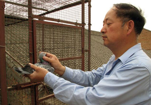 ��ʱ�����60����վ����Ա(ͼ)