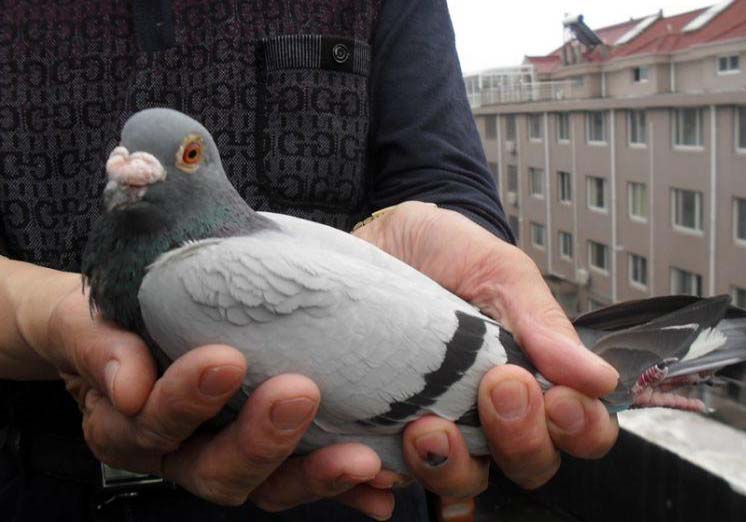 �þ���500�����Ǿ�������(ͼ)