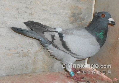 �Ҽ����𡰵���롱(ͼ)