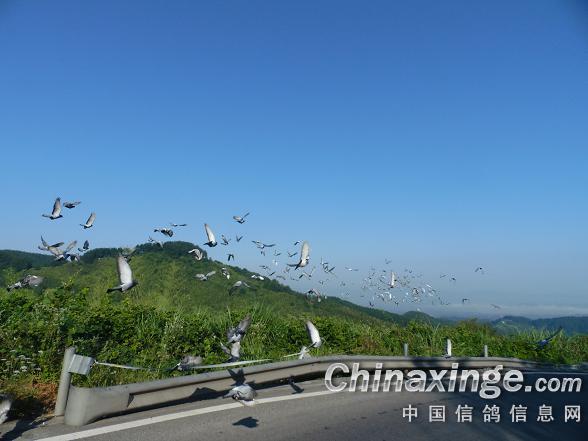 �潭��ͷ������ѵ����һ�塱(ͼ)