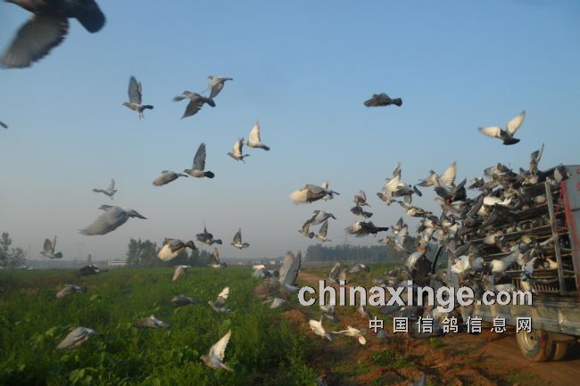 �����и�Э����400�����������(ͼ)