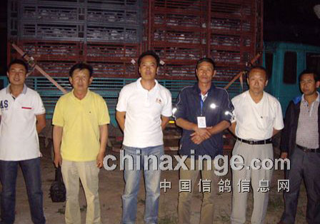 ɽ����ͬ��ͷ����300����Ԥ��(ͼ)