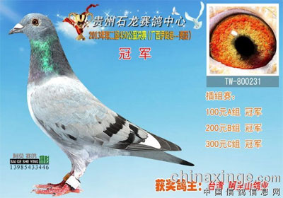 ����ʯ�����ﴺ���񽱸�����(ͼ)