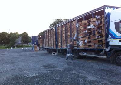 ŷ�޲��ǳ��������������(ͼ)