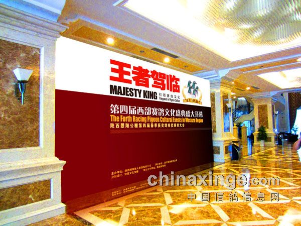 ����������һ������(ͼ)