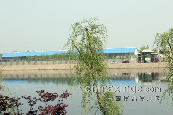 �����������������ո볬��ǧ(ͼ)