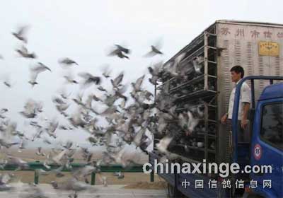 �����еھŽ컷̫��˾���ֳ�(ͼ)