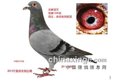 ����˳���蹫������񽱸�����(ͼ)