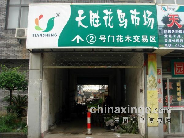 ��������ʤ�����г�(ͼ)