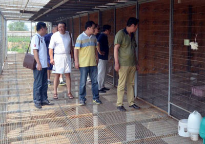 ���ϸ�Э�쵼�ڹ������(ͼ)