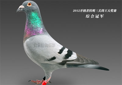 2012���������ظ���ǰʮ������(ͼ)