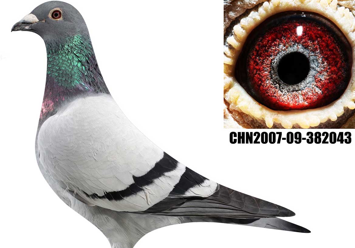 �Ϻ���̳�����볣������С��ͷ��(ͼ)