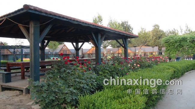 �����ٸ�԰���˱�����ҷ�ͼ