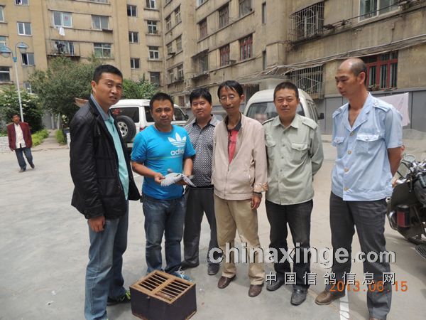 9��ָ���ɼ������� �����鸴��(ͼ)