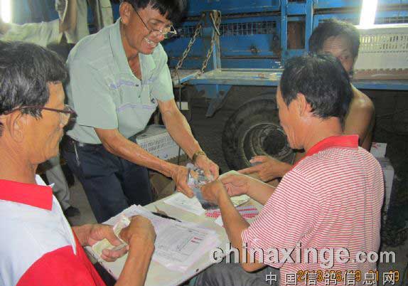 �����ֶ��ǹ�������������ǧ����(ͼ)