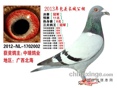 ��ͷ���ǹ������������ǰ30��(ͼ)