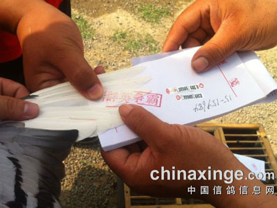 �뻸ʢ���������ǰ�����ֳ����(ͼ)