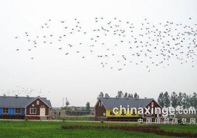 ����̽����������ֲ���Ӱ(ͼ)