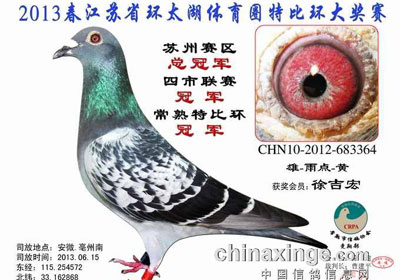 �����л�̫�������񽱸�����(ͼ)