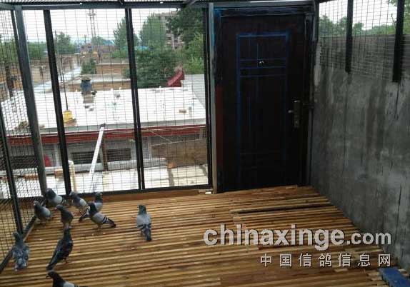 �½���ʵ���͸���(ͼ)